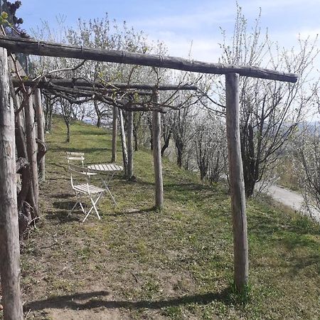 Casa Nebieu In Edificio Indipendente Nel Centro Di Monforte Monforte dʼAlba Eksteriør bilde